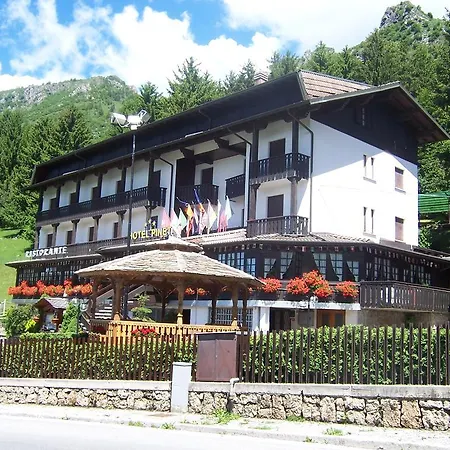 Hotel Pineta 3*