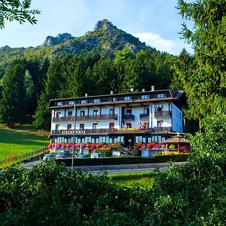 Pineta